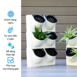 Set chậu đôi tự tưới Oliz BG0, làm vườn tường đứng, trồng hoa, cây cảnh, có thể lắp cho diện tích lớn