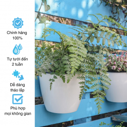Chậu tự tưới treo tường Oliz K0, trang trí trong nhà, ban công, tiện lợi, sang trọng, tiêu chuẩn châu Âu