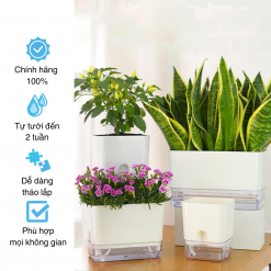 Chậu trồng cây tự tưới để bàn Oliz, trang trí văn phòng, trong nhà, decor, thiết kế thông minh, Tiêu chuẩn Châu Âu